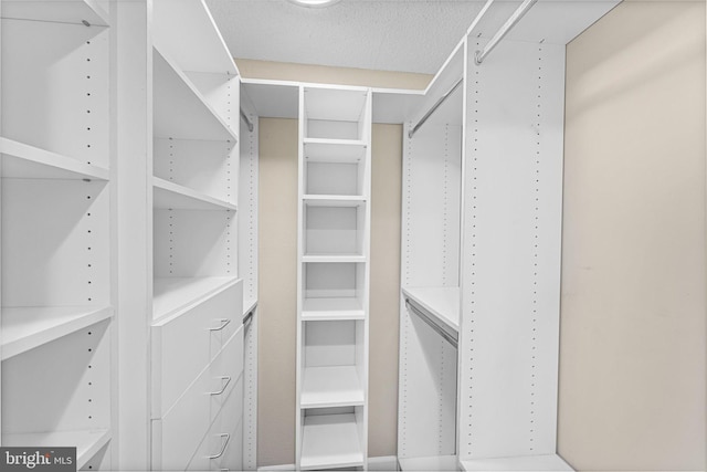 view of walk in closet