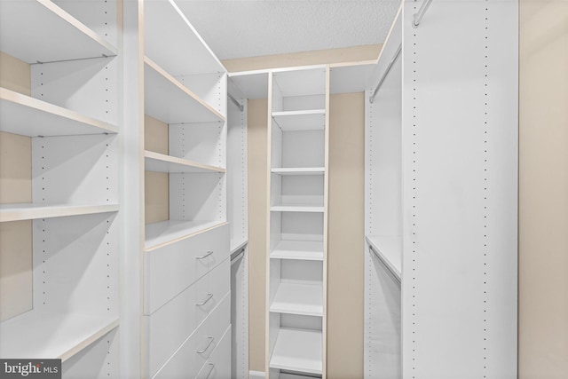 view of spacious closet