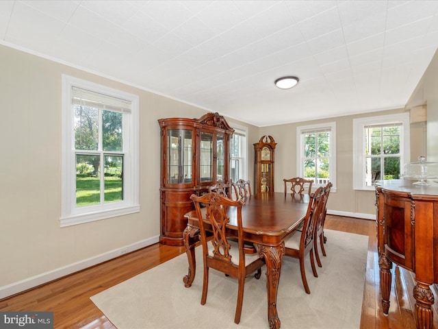 dining room with baseboards, wood finished floors, and ornamental molding