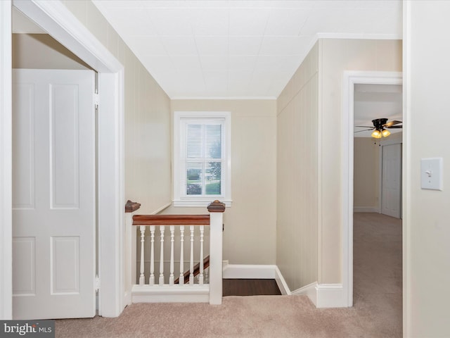 interior space featuring baseboards, an upstairs landing, and carpet floors