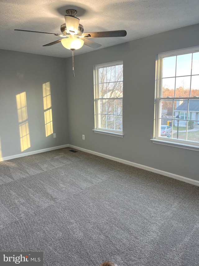 carpeted empty room featuring a healthy amount of sunlight, baseboards, and a textured ceiling