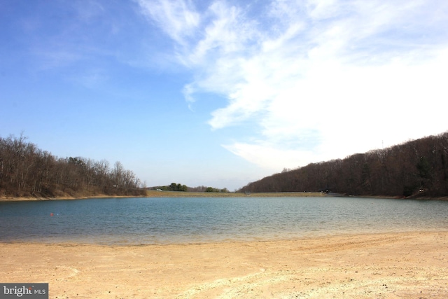 property view of water featuring a wooded view