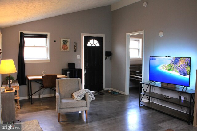 interior space with a wealth of natural light, wood finished floors, and vaulted ceiling