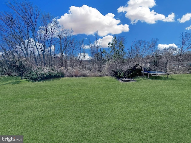 view of yard featuring a trampoline