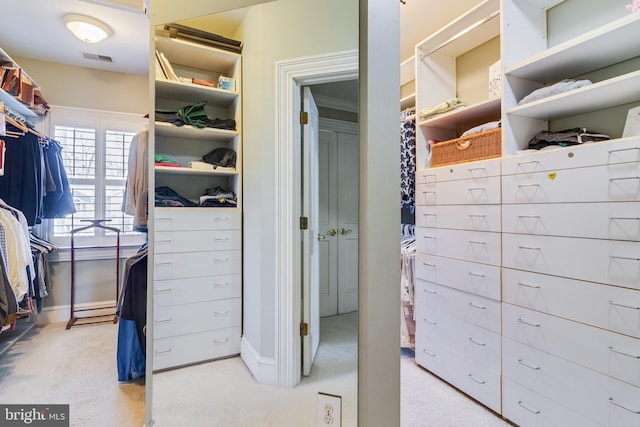 11520 Magnolia Ct, Issue, MD 20645 - spacious closet with carpet