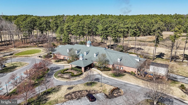 11520 Magnolia Ct, Issue, MD 20645 - drone / aerial view