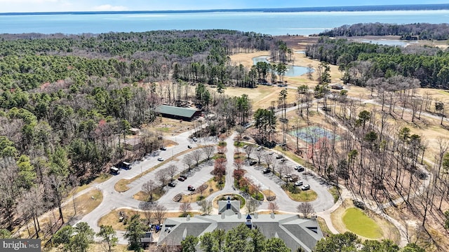11520 Magnolia Ct, Issue, MD 20645 - aerial view of property and surrounding area with a large body of water and a heavily wooded area