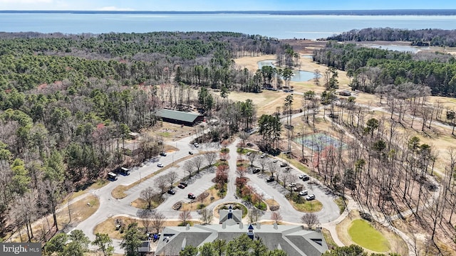 11520 Magnolia Ct, Issue, MD 20645 - aerial overview of property's location with a nearby body of water and a forest