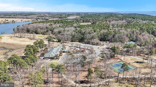11520 Magnolia Ct, Issue, MD 20645 - aerial overview of property's location featuring a large body of water and a heavily wooded area