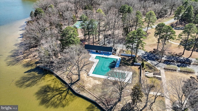 11520 Magnolia Ct, Issue, MD 20645 - view from above of property featuring a pool
