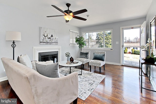 living room featuring a wealth of natural light, baseboards, dark wood-style flooring, and a fireplace