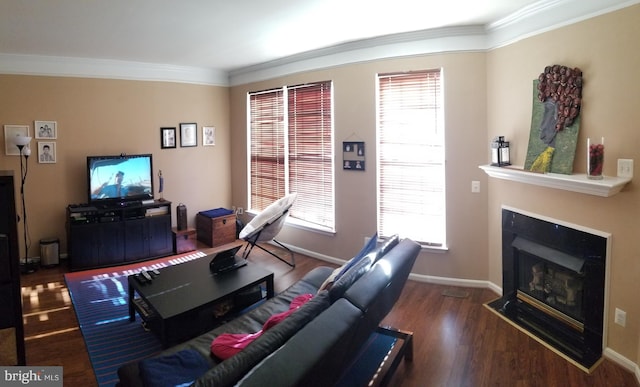 living area featuring a glass covered fireplace, crown molding, baseboards, and wood finished floors