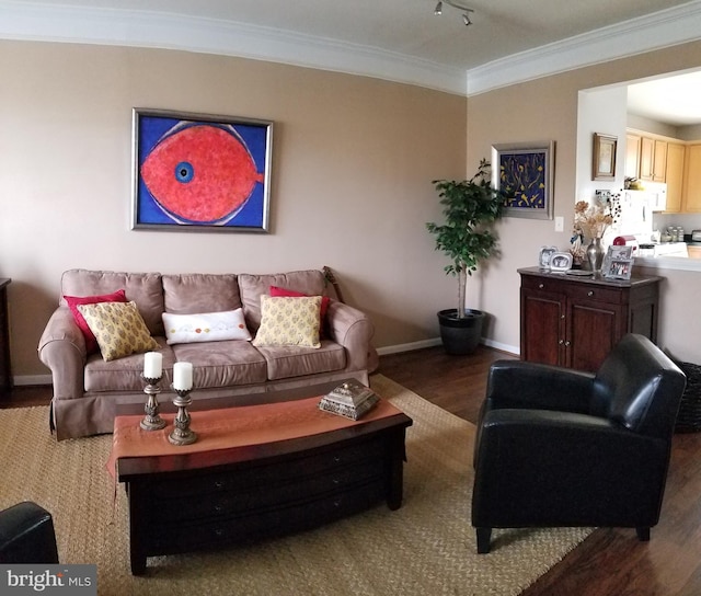 living room with baseboards, wood finished floors, and crown molding