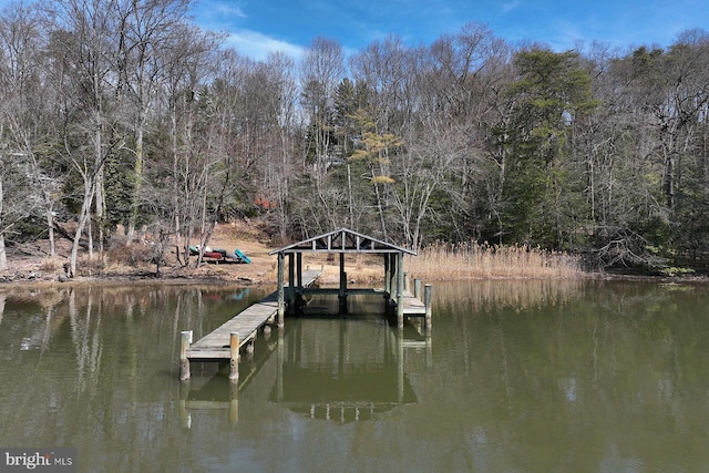 dock area featuring a water view