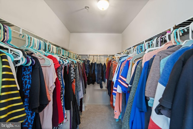 walk in closet with carpet