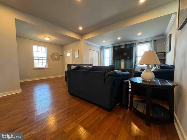 living room featuring dark wood finished floors, a healthy amount of sunlight, and baseboards