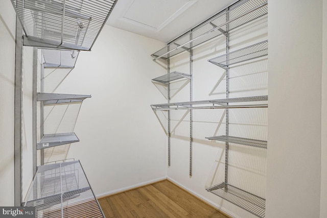 spacious closet with wood finished floors