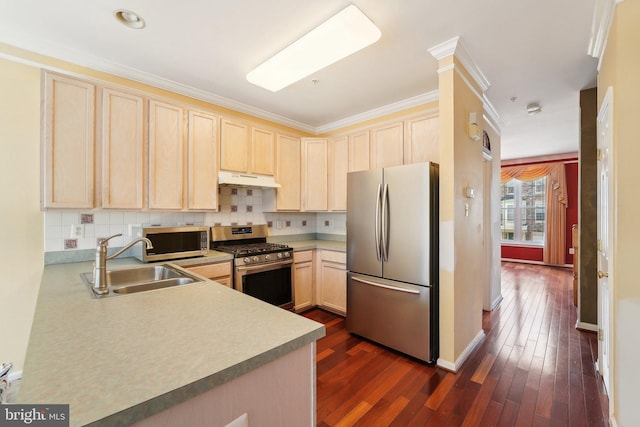 kitchen featuring light brown cabinetry, a sink, dark wood-style floors, stainless steel appliances, and decorative backsplash