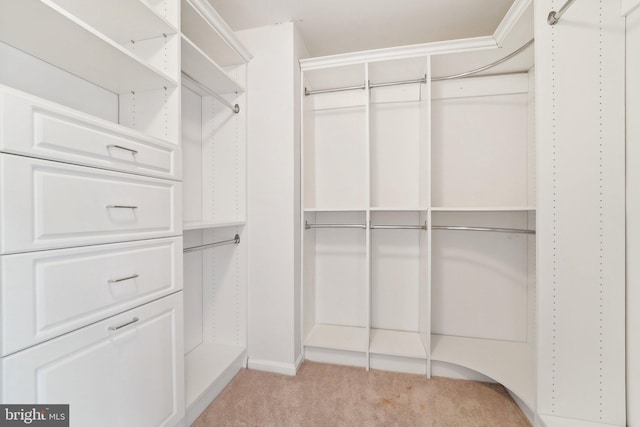 spacious closet featuring light colored carpet