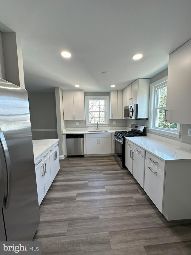 kitchen with a sink, wood finished floors, a wealth of natural light, and stainless steel appliances