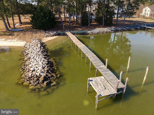 dock area featuring a water view