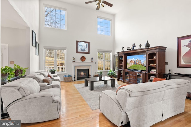 living room with wood finished floors, a warm lit fireplace, and ceiling fan