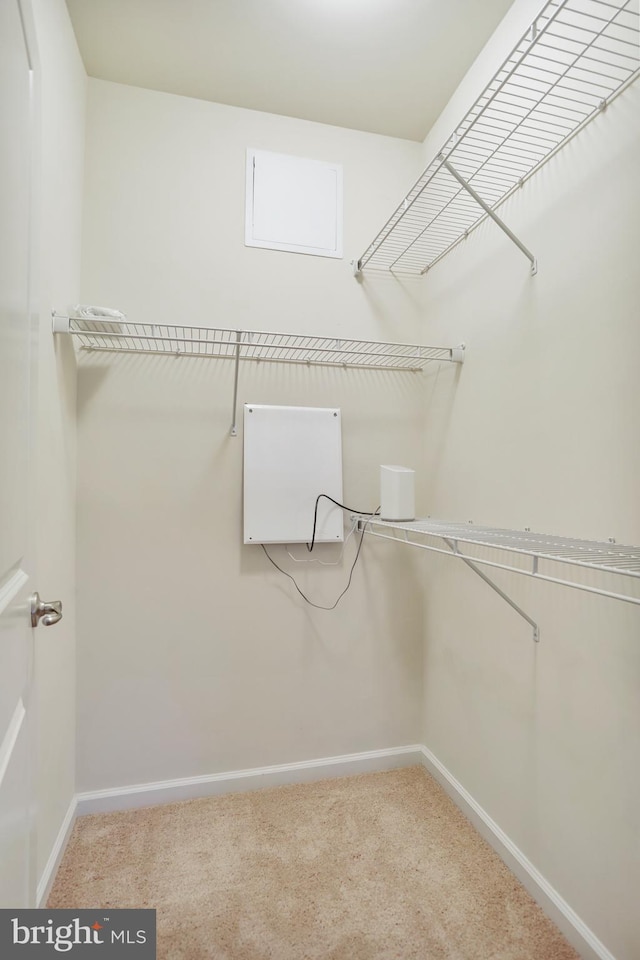 walk in closet featuring carpet flooring