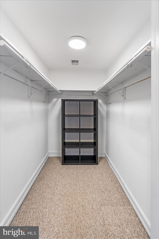 spacious closet featuring visible vents and carpet flooring