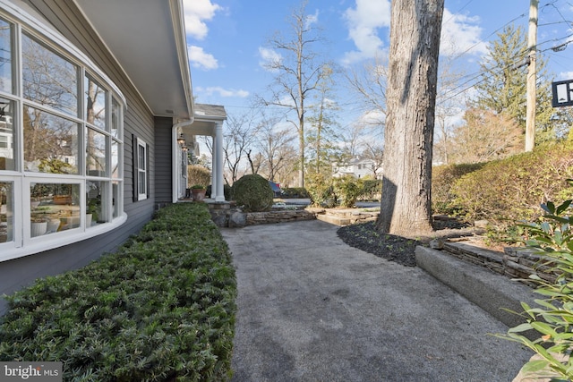 view of yard featuring a patio area