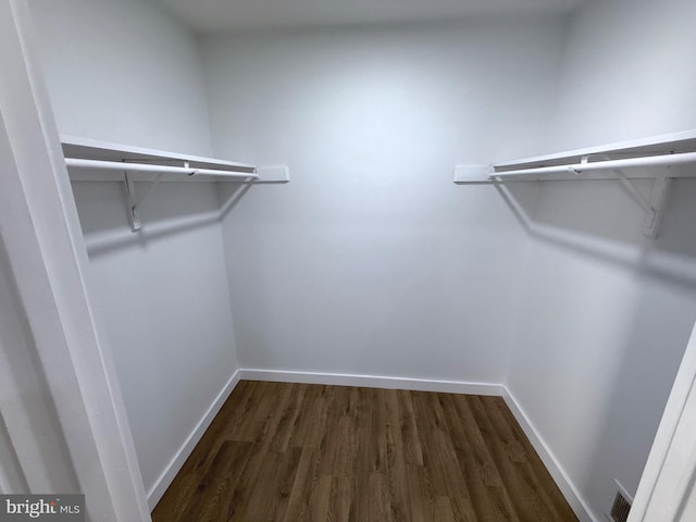 walk in closet featuring dark wood finished floors