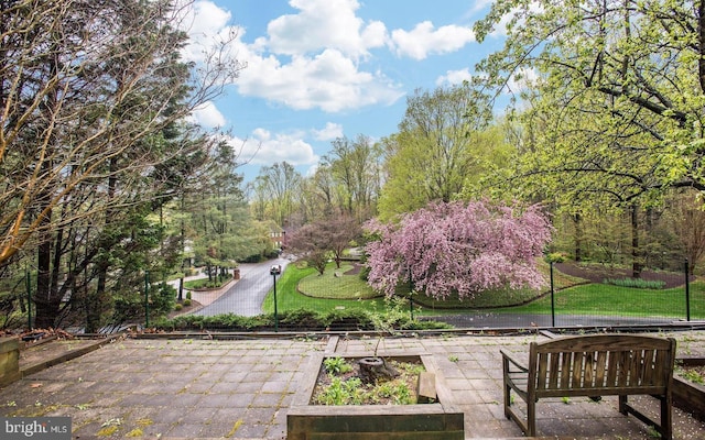 view of home's community with a vegetable garden