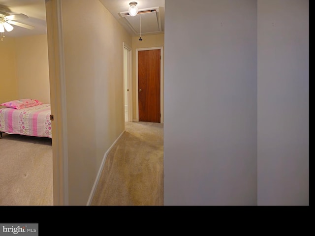 hallway featuring baseboards, attic access, and carpet flooring