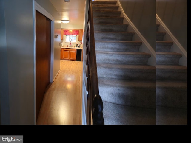 stairway featuring wood finished floors