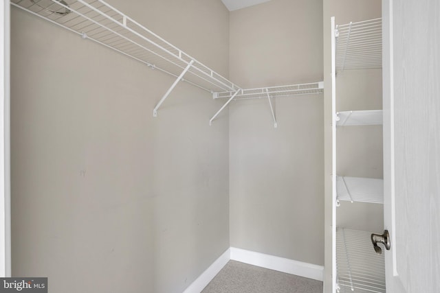 view of walk in closet