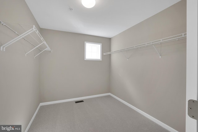 walk in closet featuring visible vents and carpet floors