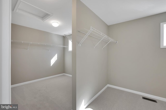 walk in closet with attic access, visible vents, and carpet floors