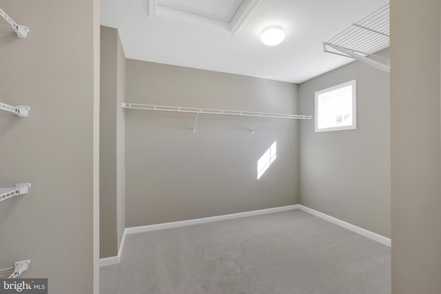 walk in closet with carpet flooring