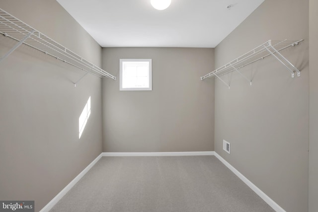 walk in closet featuring visible vents and carpet