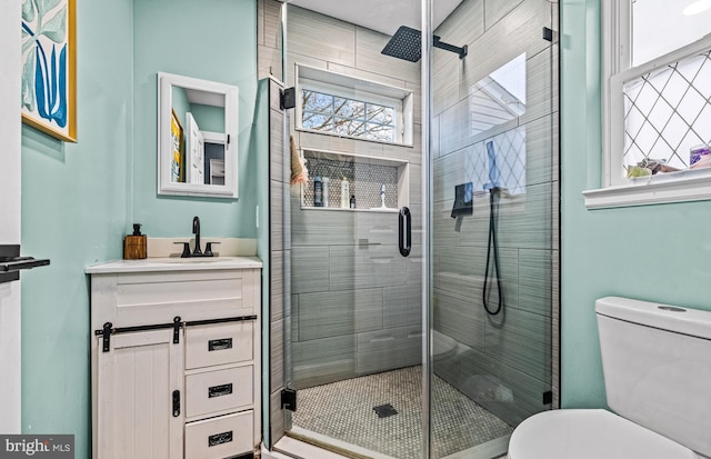 bathroom with vanity, toilet, and a stall shower