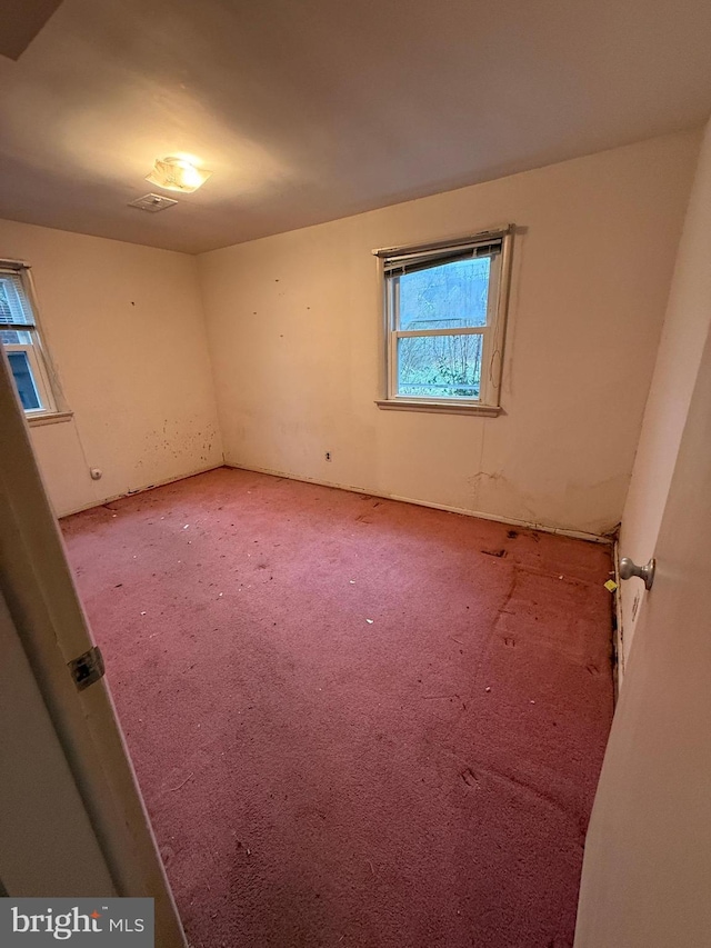 spare room with carpet