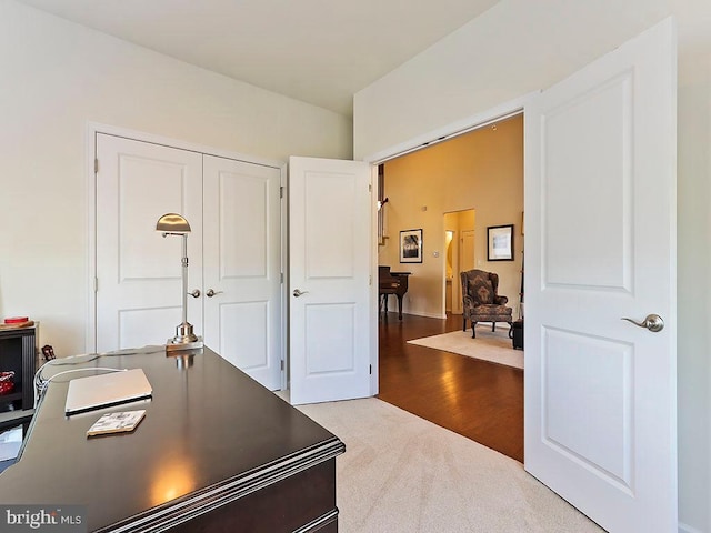 carpeted office space featuring wood finished floors