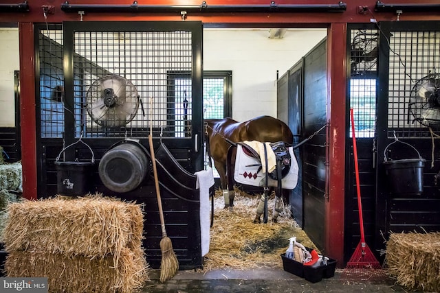 view of horse barn