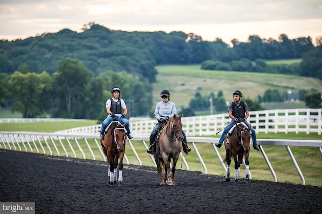 view of horse barn