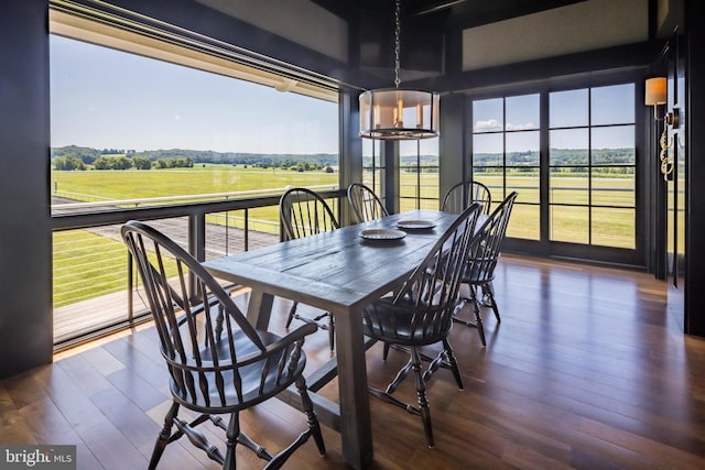 dining space with wood finished floors, a wealth of natural light, and a chandelier