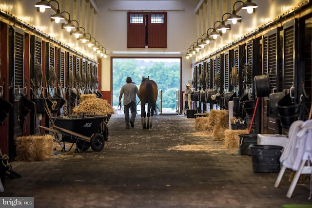 view of horse barn