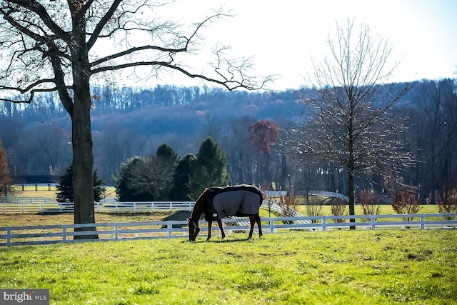 view of property's community with a yard, a view of trees, a rural view, and fence