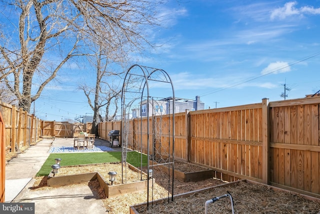 view of yard with a patio area, a fenced backyard, and a vegetable garden