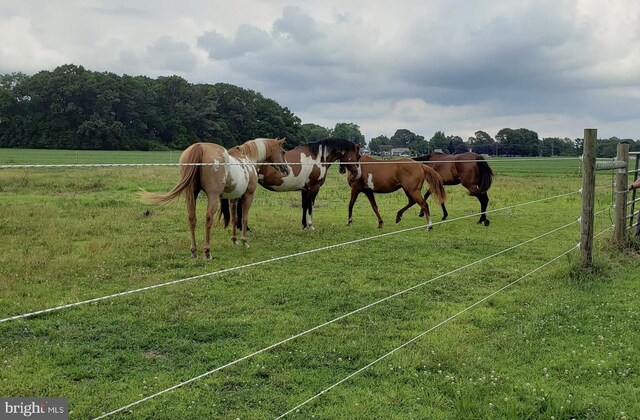 view of stable with a rural view