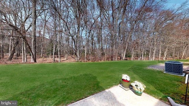 view of yard featuring central AC