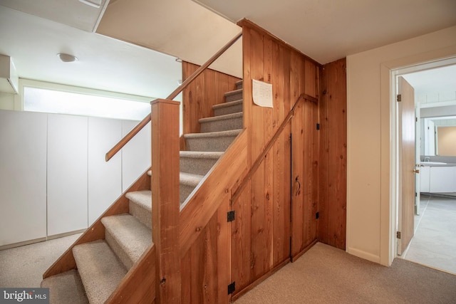 staircase featuring carpet flooring